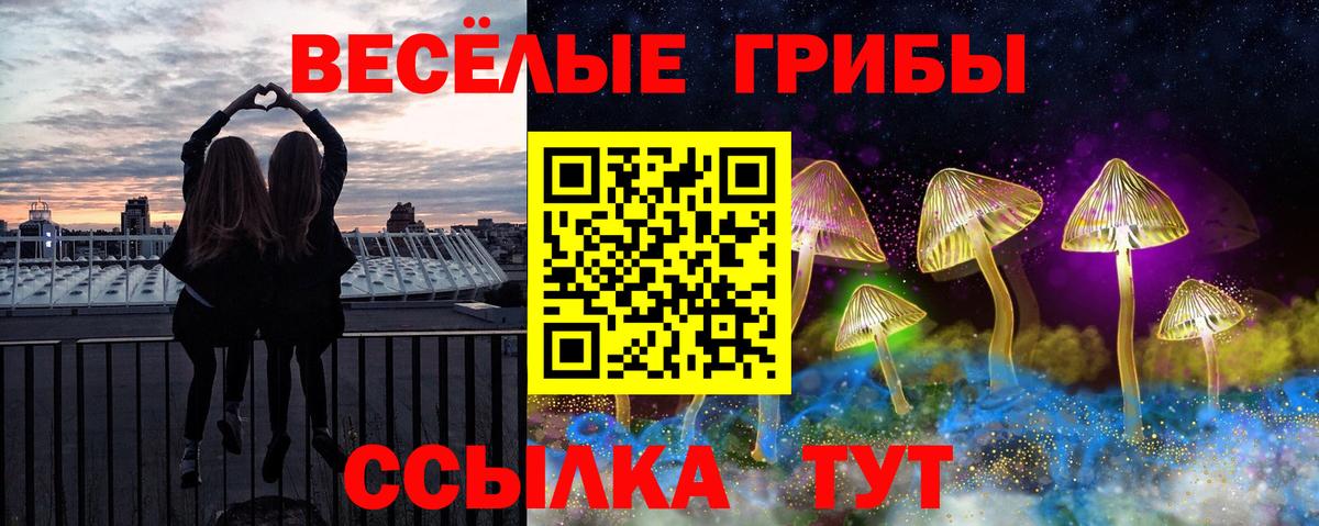 Отрадный  Псилоцибиновые грибы ЛСД  цена   Вход с VPN 
