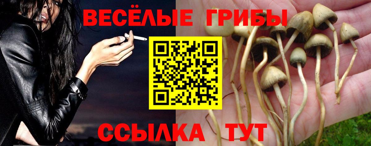 Псилоцибиновые грибы прущие грибы Отрадный